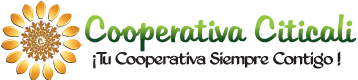 citicali logo principal